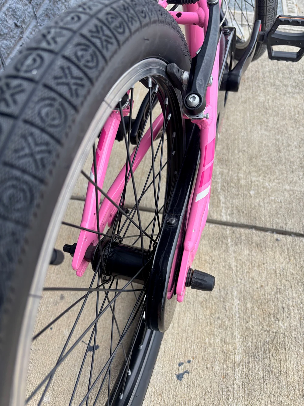 Pre Owned - 2019 Trek Precaliber 20 CST - Image 3